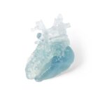 Formlabs BioMed Flex 80A – biokompatibles, flexibles Resin für medizinische 3D-Druckanwendungen